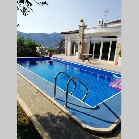 Vila Luxury With Pool
